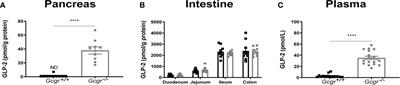 Intestinal Growth in Glucagon Receptor Knockout Mice Is Not Associated With the Formation of AOM/DSS-Induced Tumors